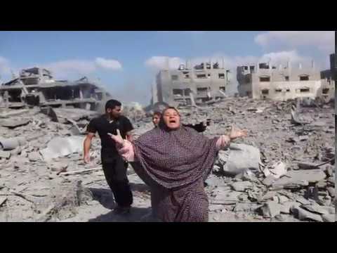 القرضاوي يدعو للإرهاب بدعم قطري